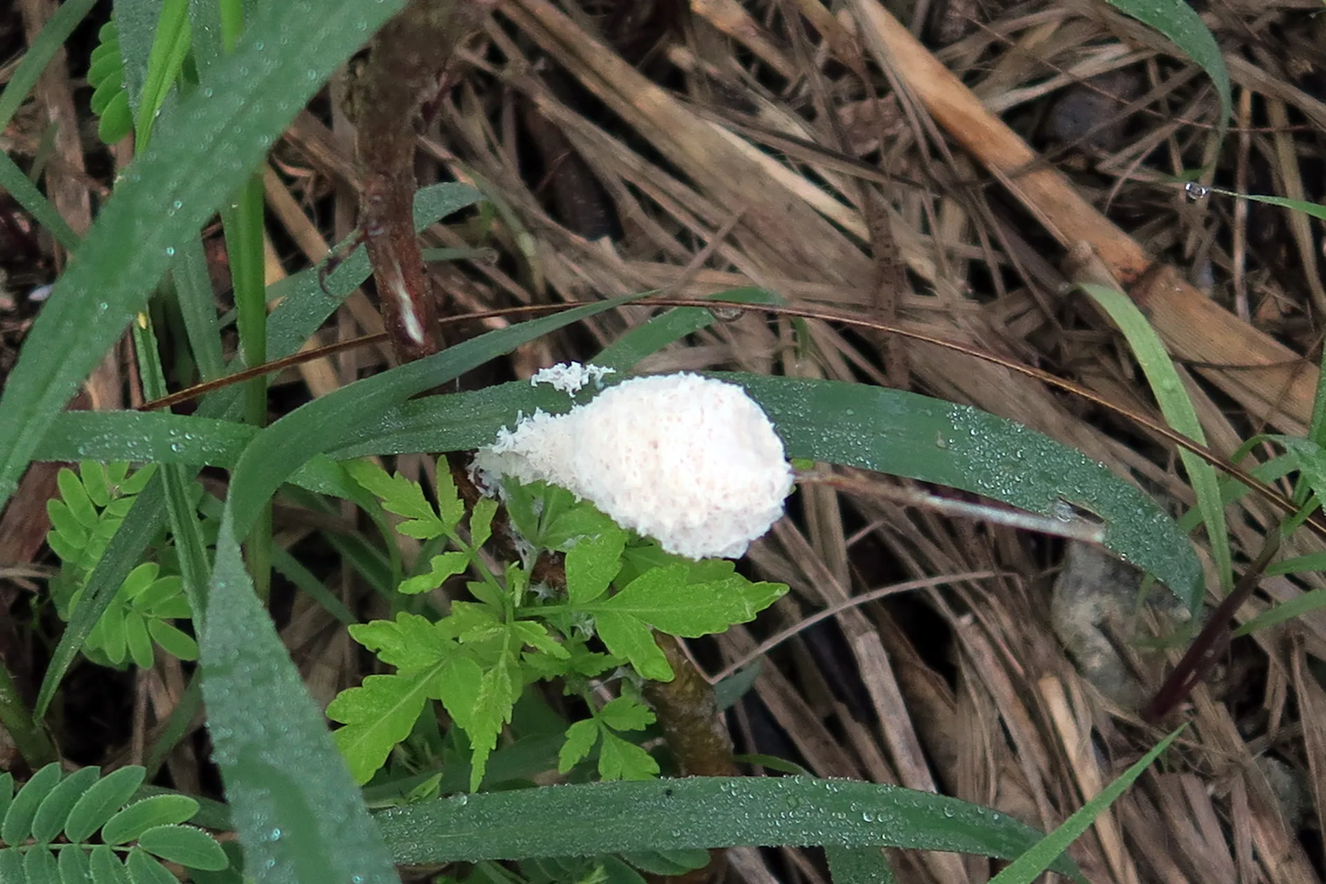 1 -